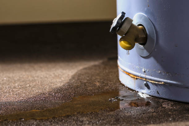 Best Basement water damage restoration  in Westover, WV