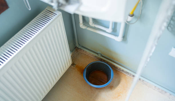 Best Mold removal after water damage  in Westover, WV