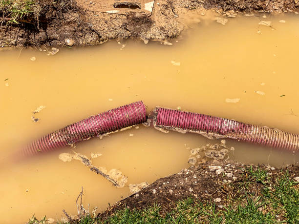 Best Water damage restoration near me  in Westover, WV