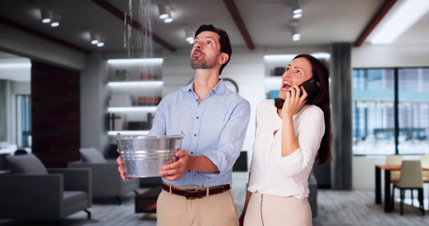 Best Water damage restoration insurance claims  in Westover, WV